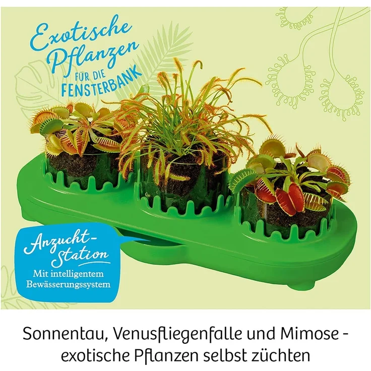 KOSMOS 632137 Fleischfressende Pflanzen, Insektenfresser selbst anpflanzen, Komplett-Set Anzucht-Station, Samen, Erde, Pipette, Experimentierkasten für Kinder ab 8 Jahren zu Garten, Biologie, Natur – Bild 3