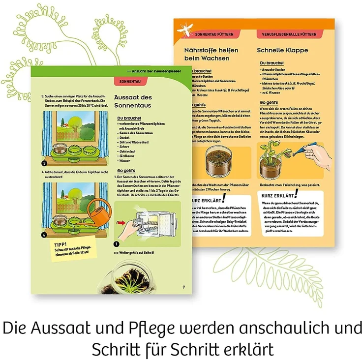 KOSMOS 632137 Fleischfressende Pflanzen, Insektenfresser selbst anpflanzen, Komplett-Set Anzucht-Station, Samen, Erde, Pipette, Experimentierkasten für Kinder ab 8 Jahren zu Garten, Biologie, Natur – Bild 4