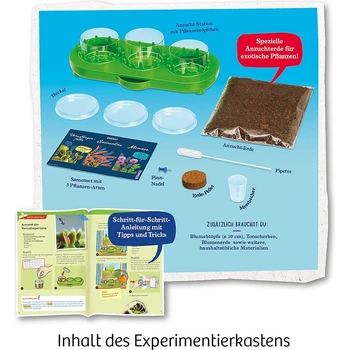 Vleesetende planten voor huis en tuin | Tweedehands