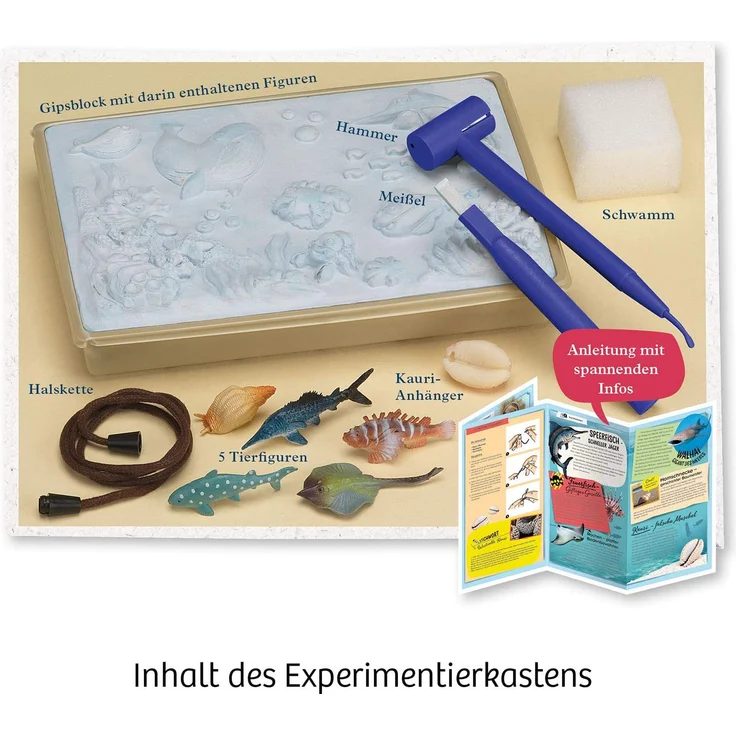 Kosmos Mitbringexperimentierkasten Ausgrabungs-Set Meeres-Abenteuer – Bild 3