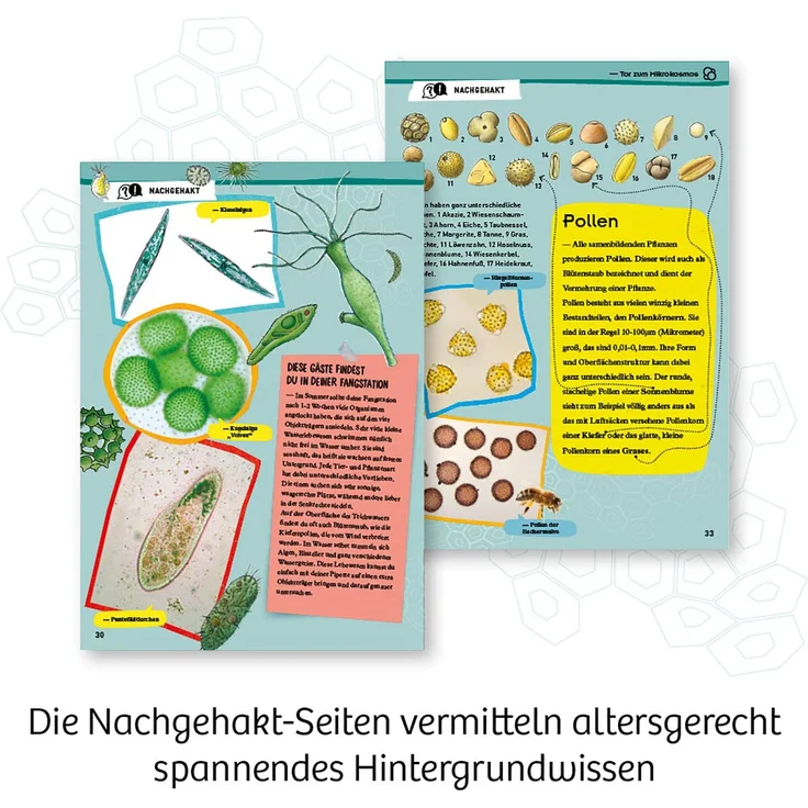 KOSMOS - Entdecker-Mikroskop – Bild 5