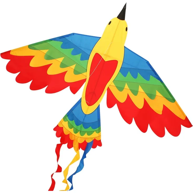 CiM Bird Drachen Rainbow