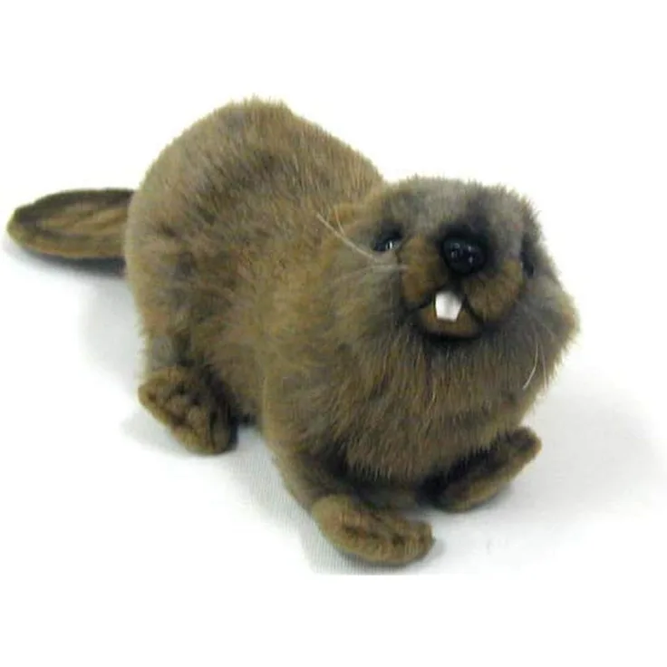 HANSA Castor liegend 22 CML