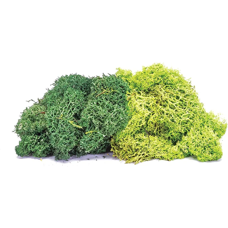 Humbrol R7195 Skale Scenics Lichen - Large Green Mix