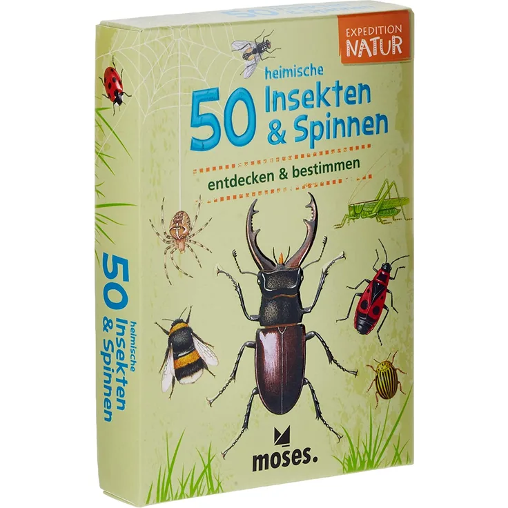 moses. Expedition Natur - 50 heimische Insekten und Spinnen| Bestimmungskarten im Set | Mit spannenden Quizfragen