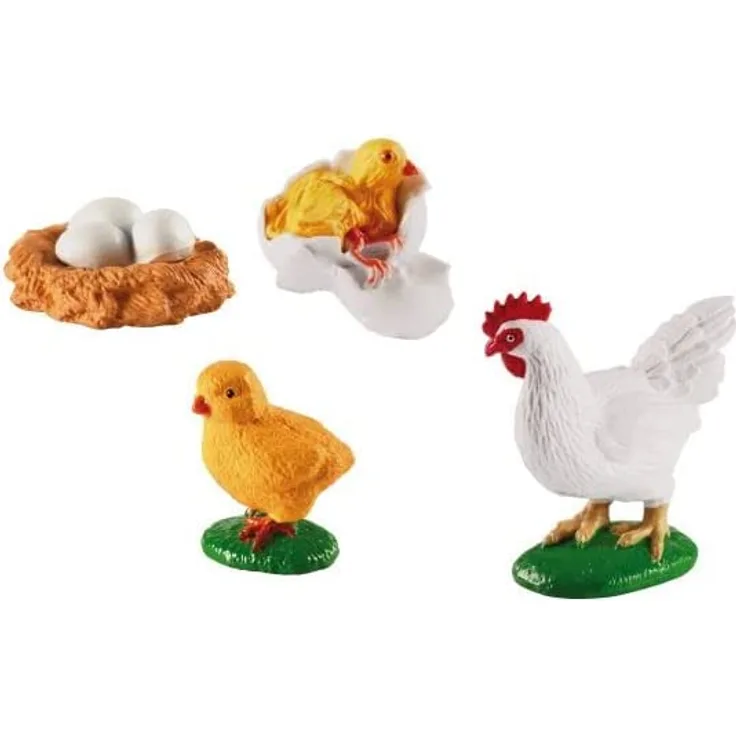 Eduplay Lebenszyklen Huhn