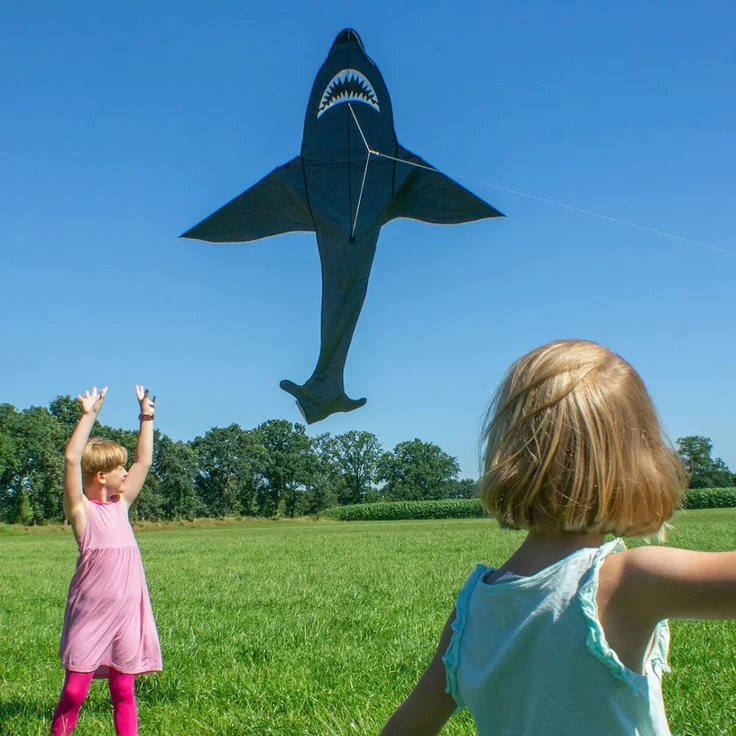 CiM Drachen Sky Shark – Bild 3
