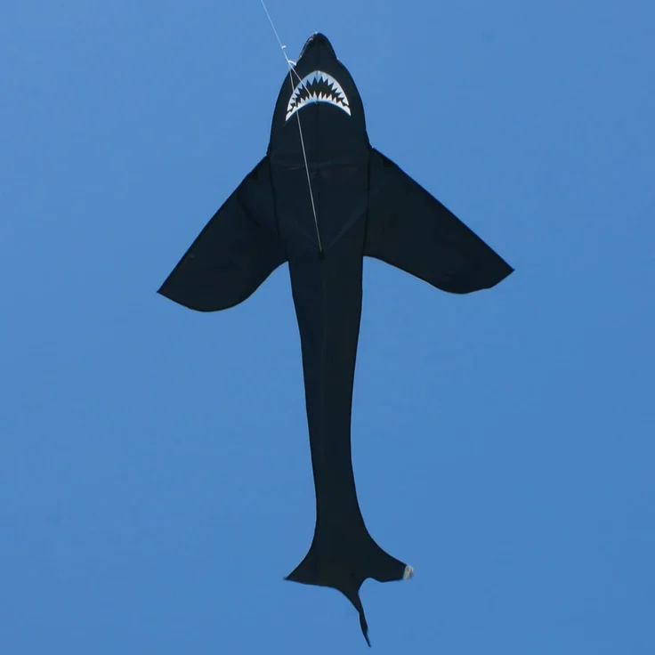 CiM Drachen Sky Shark – Bild 2