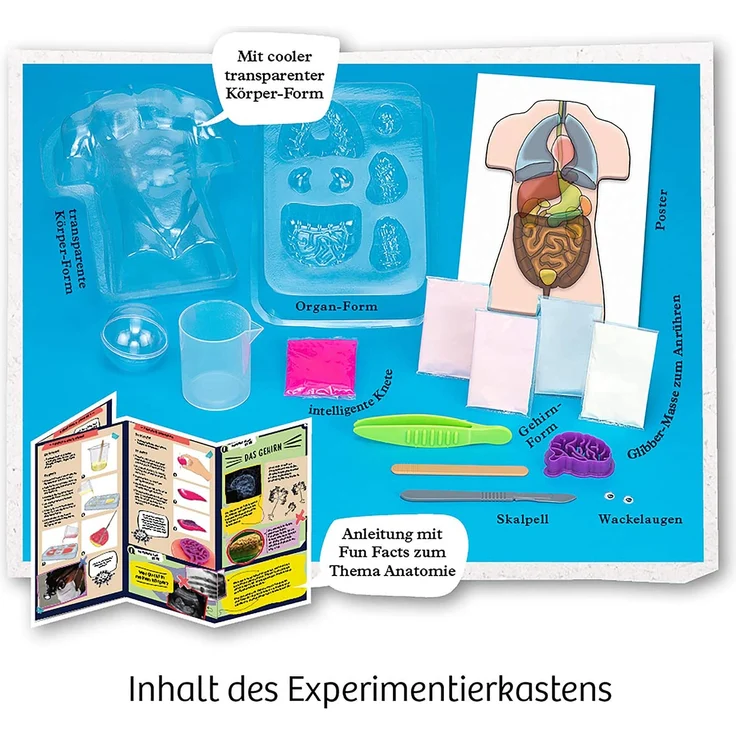 KOSMOS Fun Science Glibber-Organe – Bild 2