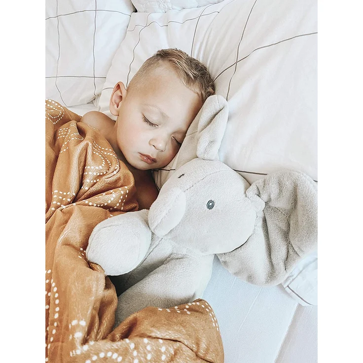 Gund – 6054176 – Plüschtier Baby interaktiv – Spielzeug für Kleinkinder – Flappy der Elefant – Versteckung – französische Version – Bild 7