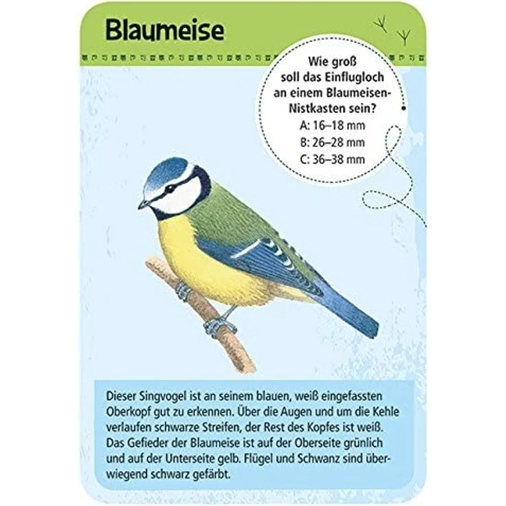 moses. Expedition Natur - 50 heimische Vögel | Bestimmungskarten im Set | Mit spannenden Quizfragen – Bild 2