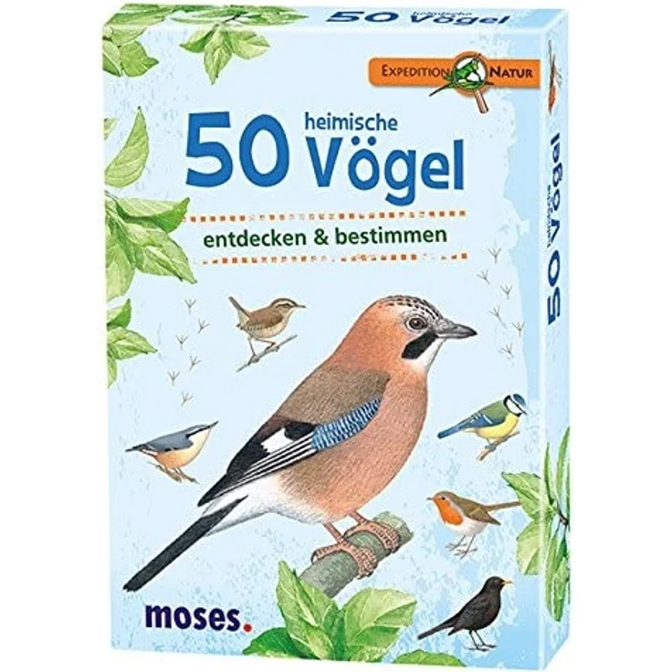 moses. Expedition Natur - 50 heimische Vögel | Bestimmungskarten im Set | Mit spannenden Quizfragen – Bild 1