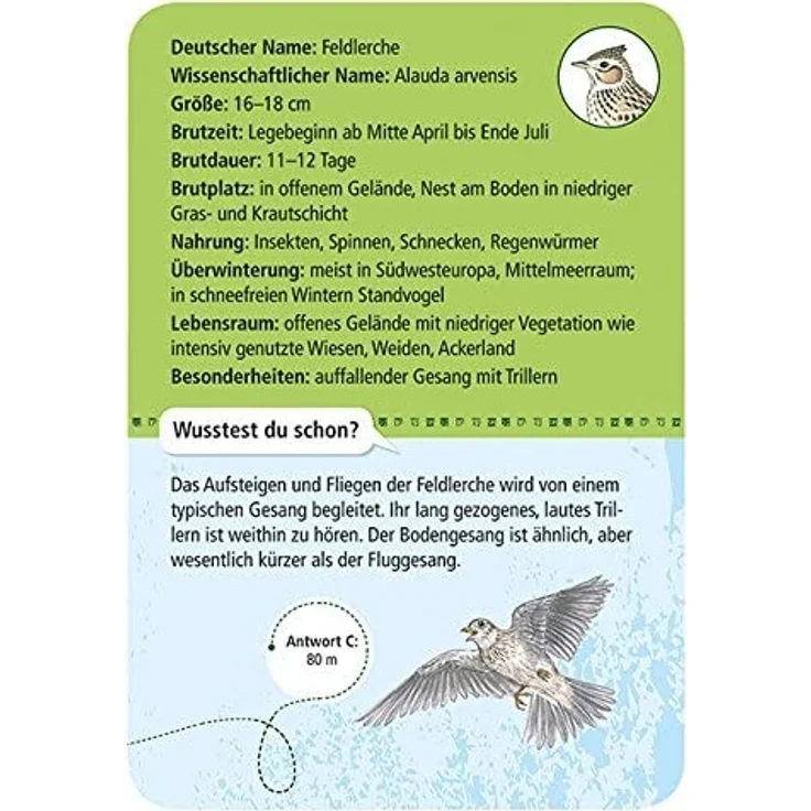 moses. Expedition Natur - 50 heimische Vögel | Bestimmungskarten im Set | Mit spannenden Quizfragen – Bild 3