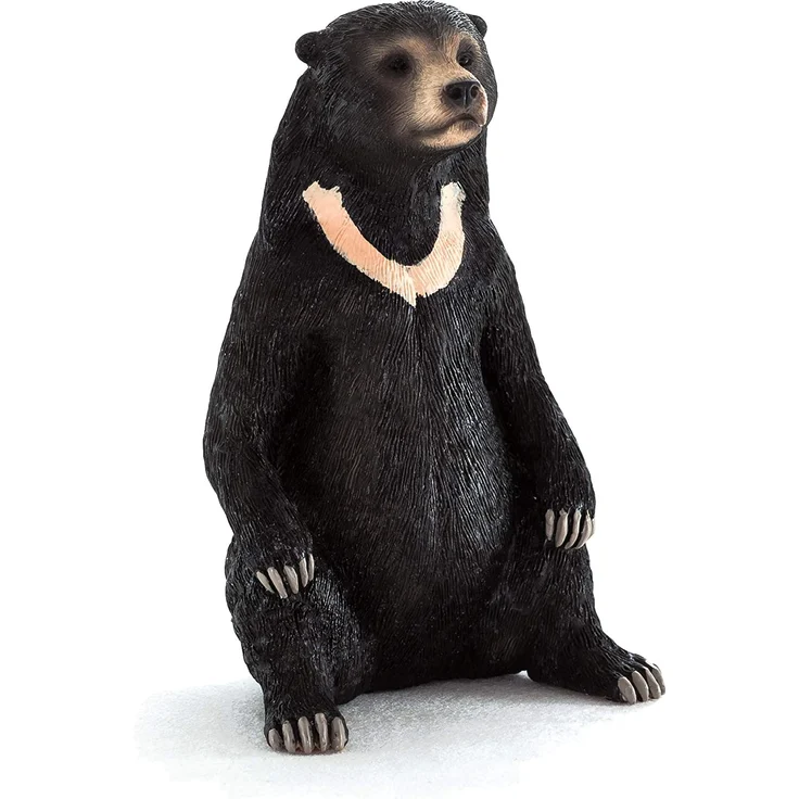 Animal Planet Malaienbär