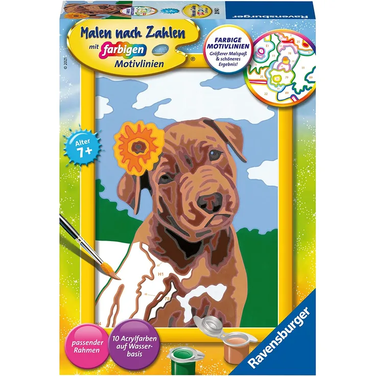Ravensburger Malen nach Zahlen Malset Bester Freund