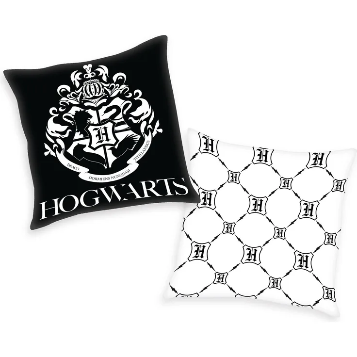 Canvaskissen Harry Potter 50 x 50 cm