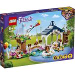 LEGO Friends 41447 'Heartlake City Park', 432 Teile, ab 6 Jahren