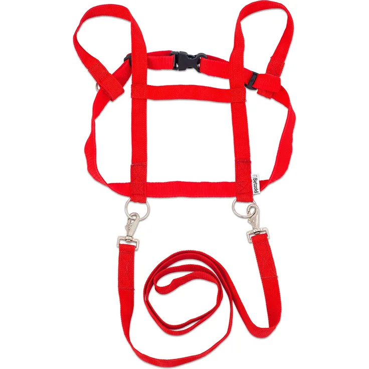 Betzold Sport Pferde-Geschirr Kinder-Spielzeug Spielen Pferdchen-Spiele Rollenspiele