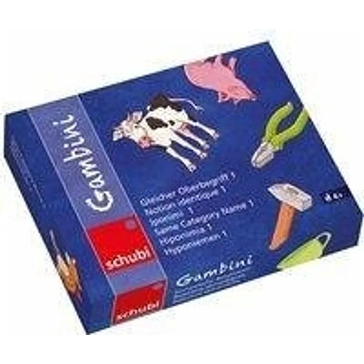 Westermann 'Gambini Gleicher Oberbegriff 1' Lernspiel