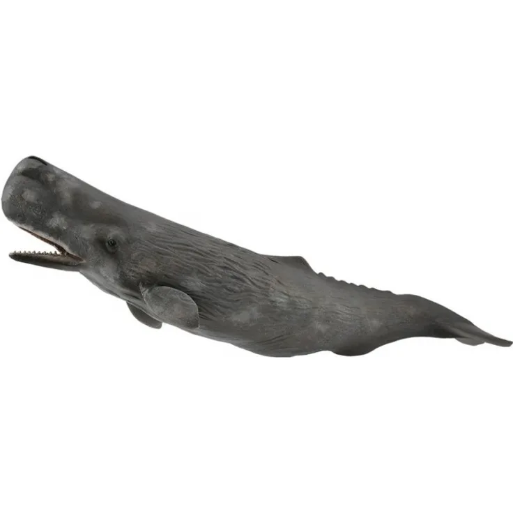 Collecta Meerestiere Pottwal 24 cm