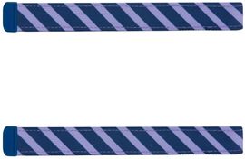 Satch swaps Stripe Blue NEW