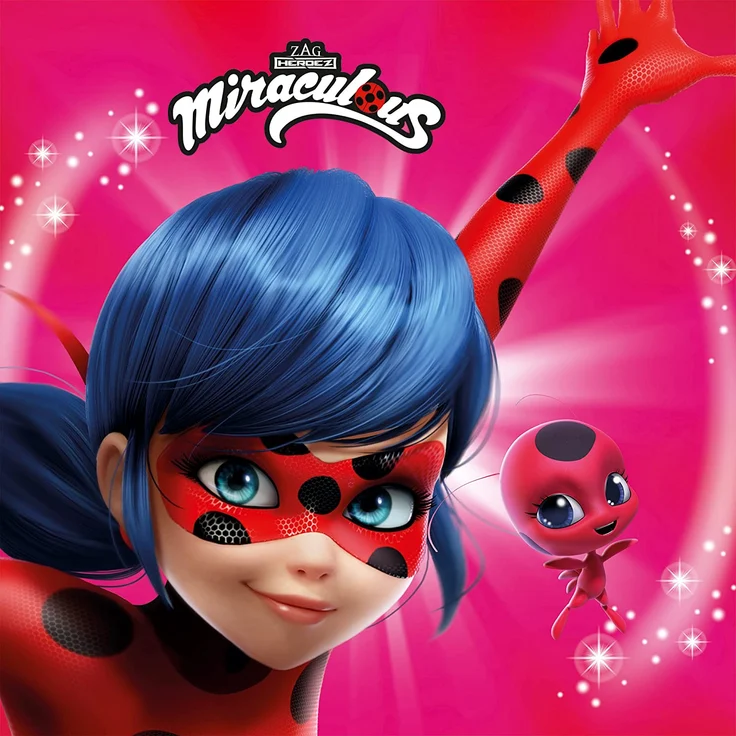 Miraculous Mädchen-Kissen Ladybug 40x40 cm großes Deko-Kissen Auto-Kuschel-Kissen Zierkissen Schmusekissen Kopfkissen Wende-Kissen Marinette Adrien Agreste Lady Bug Cat Noir Paris zur Bettwäsche – Bild 7