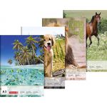 BRUNNEN 1047913 Zeichenblock, 1x Stück, zufällige Auswahl