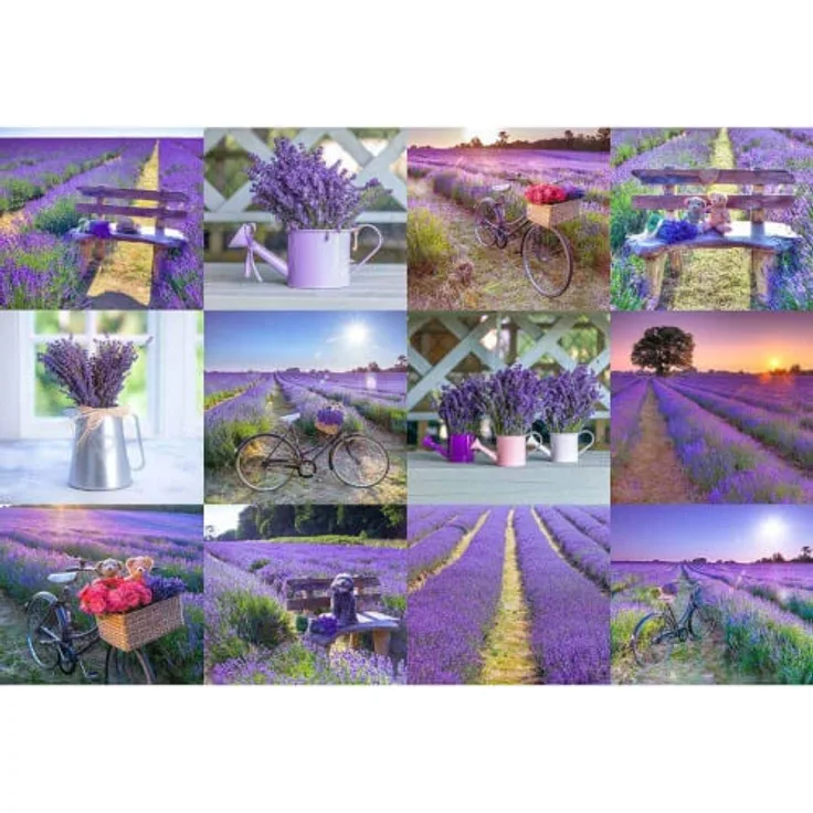 WOODEN CITY Holzpuzzle Lavendel Frankreich 2in1, 300 Teile