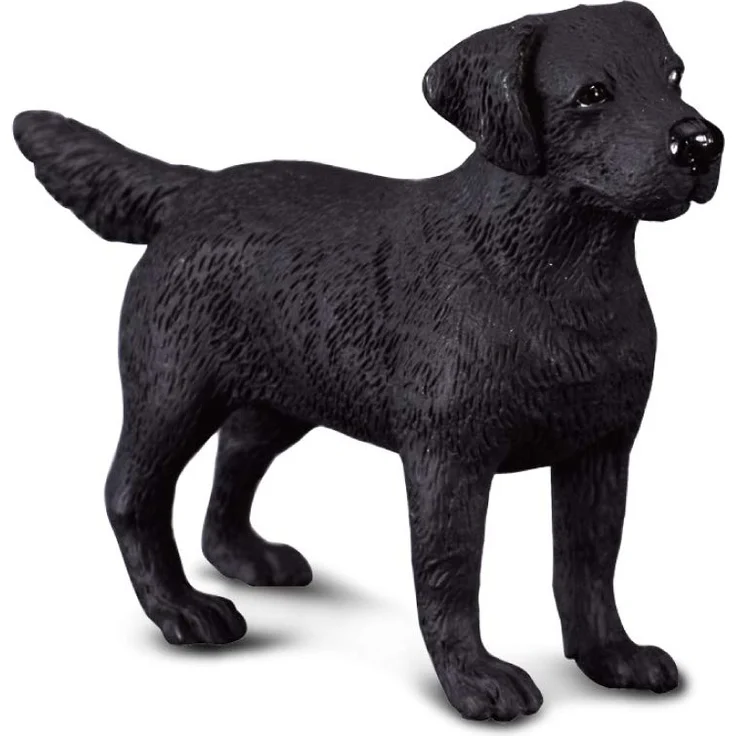 Collecta – col88076 – Labrador Retriever – Größe M – Bild 1
