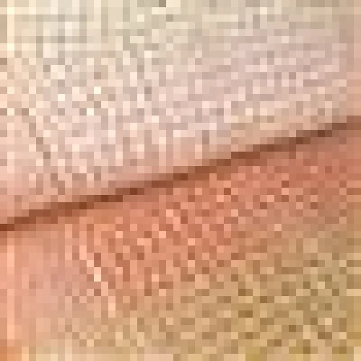HOPPEDIZ Baby-Tragetuch Darwin creme 4,60 m – Bild 12