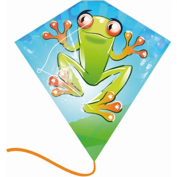 sunflex Ready To Fly Kite Frosch