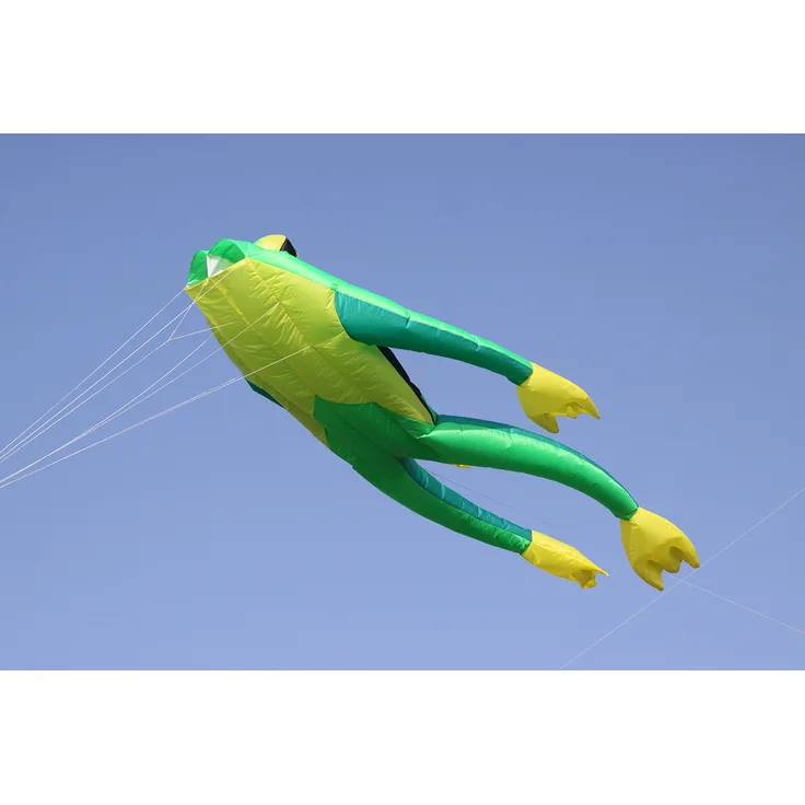 Wolkenstürmer Fritz The Frog Einleiner Drachen ohne Gestänge