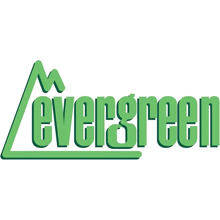 EVERGREEN 504031 Bretter-Verschalung, 1x150x300mm, Raster 0,75mm, 1 Stück