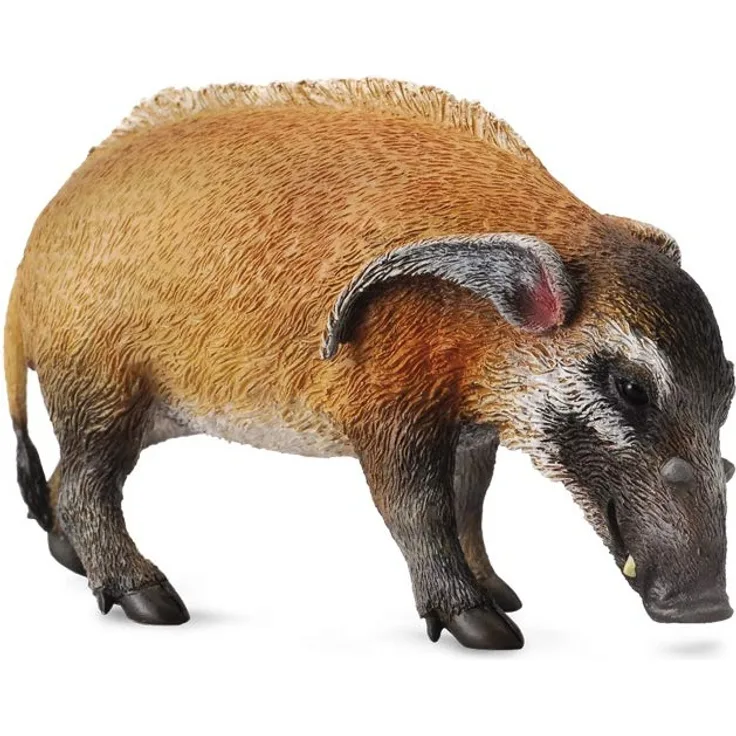 Collecta – col88554 – A. Wilde – potamochères – Größe L