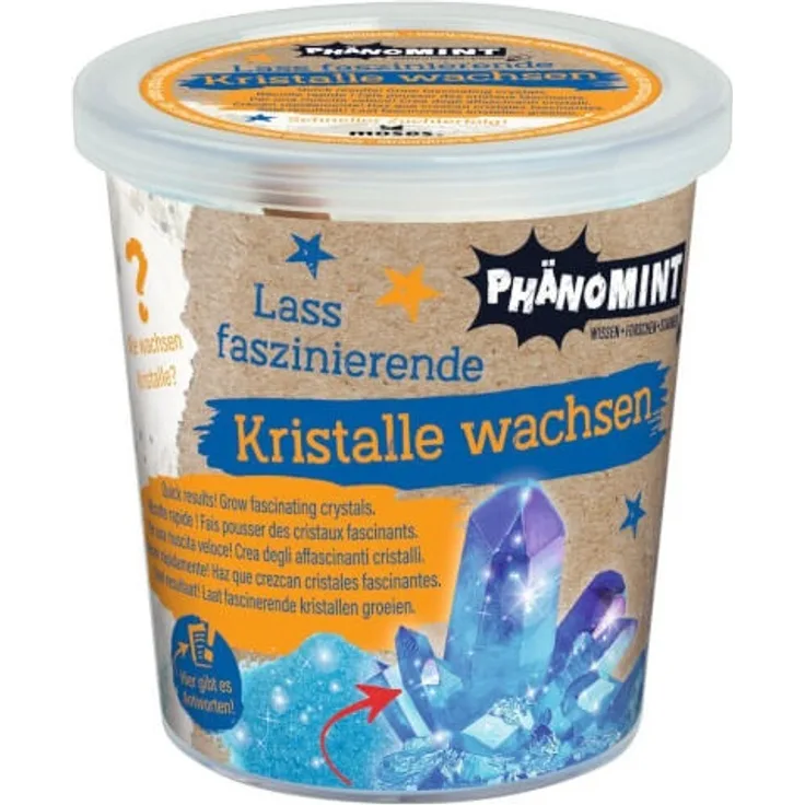 PhänoMINT Kristalle züchten