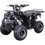 Actionbikes 'Farmer MIDI ATV S-8 125 cc ', Benzin Kinder Pocket Quad, 125cc, schwarz, bis zu 50 km/h, ab 8 Jahren - Preisvergleich