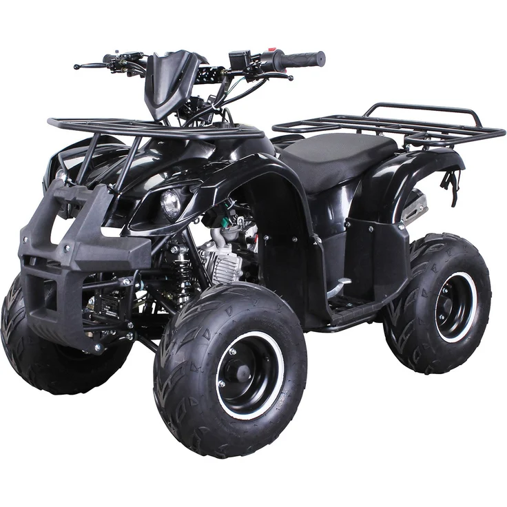 Actionbikes 'Farmer MIDI ATV S-8 125 cc ', Benzin Kinder Pocket Quad, 125cc, schwarz, bis zu 50 km/h, ab 8 Jahren - Preisvergleich – Bild 1