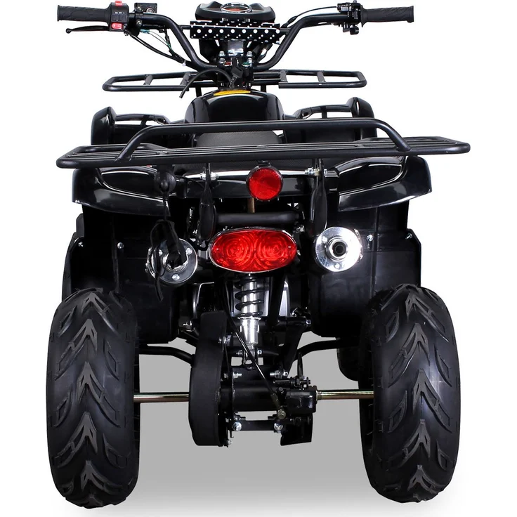 Actionbikes 'Farmer MIDI ATV S-8 125 cc ', Benzin Kinder Pocket Quad, 125cc, schwarz, bis zu 50 km/h, ab 8 Jahren - Preisvergleich – Bild 4