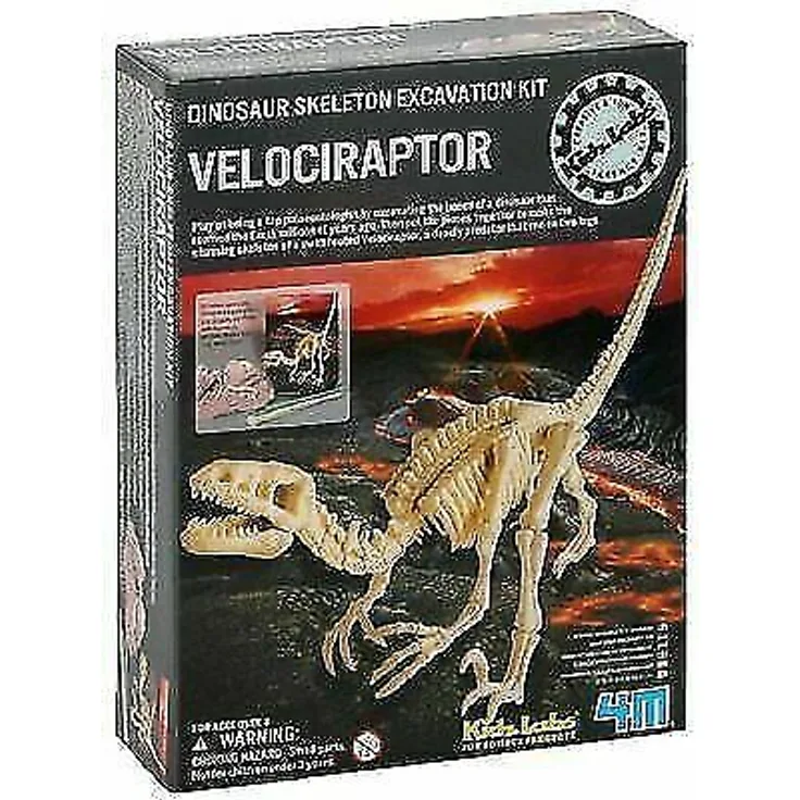 4M Kidz Labs - Velociraptor Skeleton