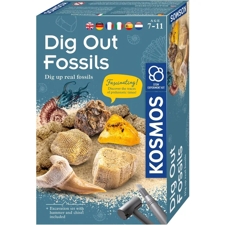 Ausgrabungsspiel Dig Out Fossils junior 13 x 21 cm 5-teilig