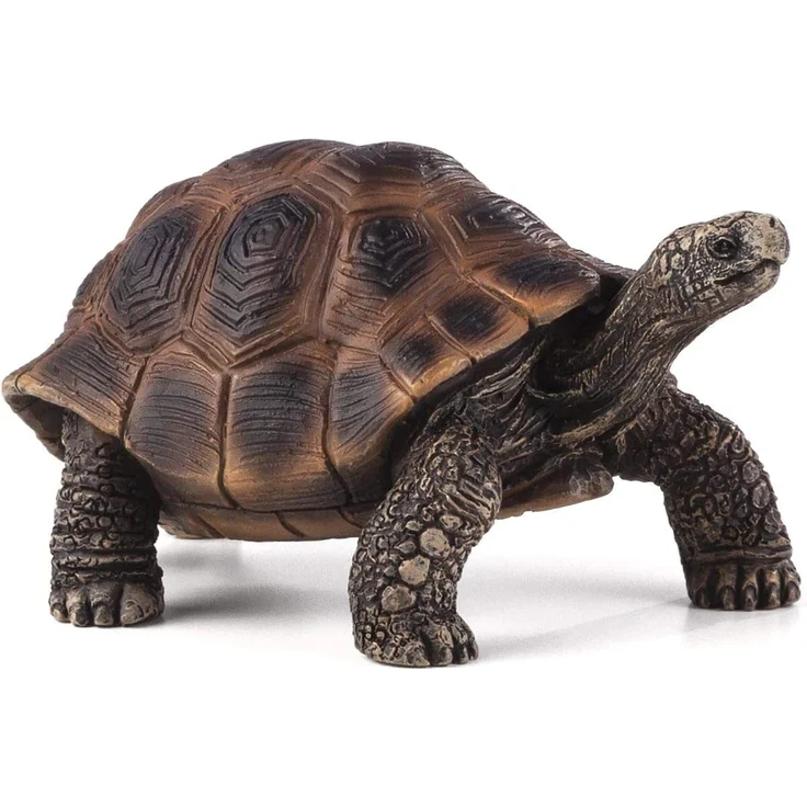 MOJO 387259 - Animal Planet - Riesenschildkröte – Bild 1