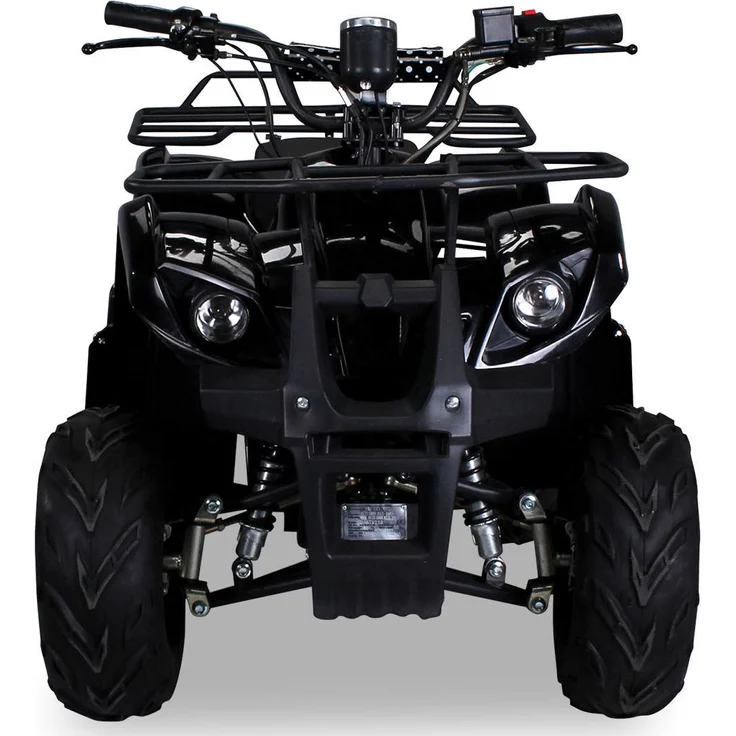 Actionbikes 'Kinder Quad S-8 Farmer Elektro', 1000 Watt, schwarz, ab 8 Jahren – Bild 6