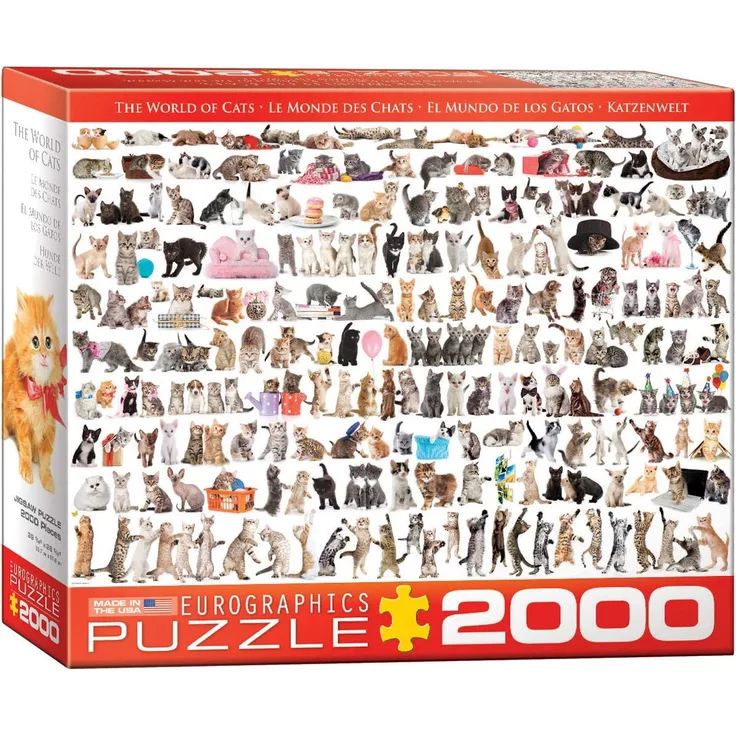 Welt der Katzen