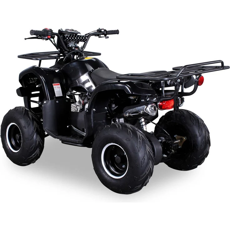Actionbikes 'Farmer MIDI ATV S-8 125 cc ', Benzin Kinder Pocket Quad, 125cc, schwarz, bis zu 50 km/h, ab 8 Jahren - Preisvergleich – Bild 3