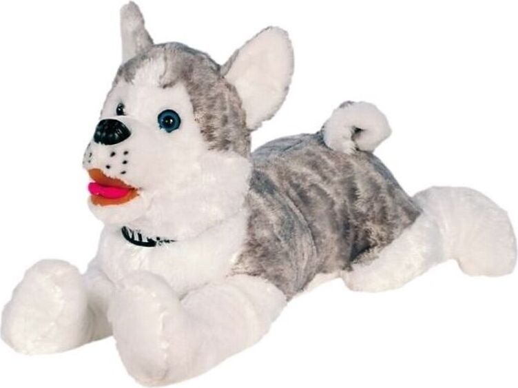 Tinisu Husky XXL Kuscheltier Hund - 60 cm Plüschtier weiches Stofftier, hochwertig verarbeitet