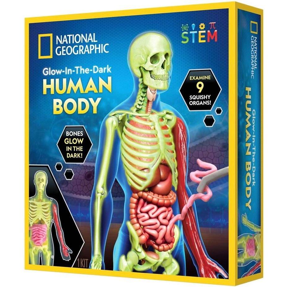 National Geographic Human Body Science Kit (29-2454), Experimentierkasten zur Erkundung des menschlichen Körpers