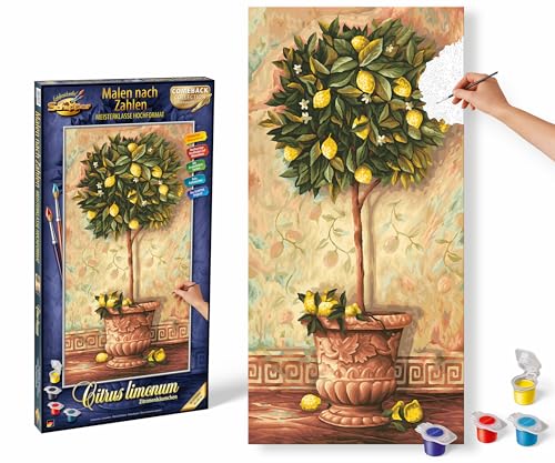Schipper - Zitronenbäumchen