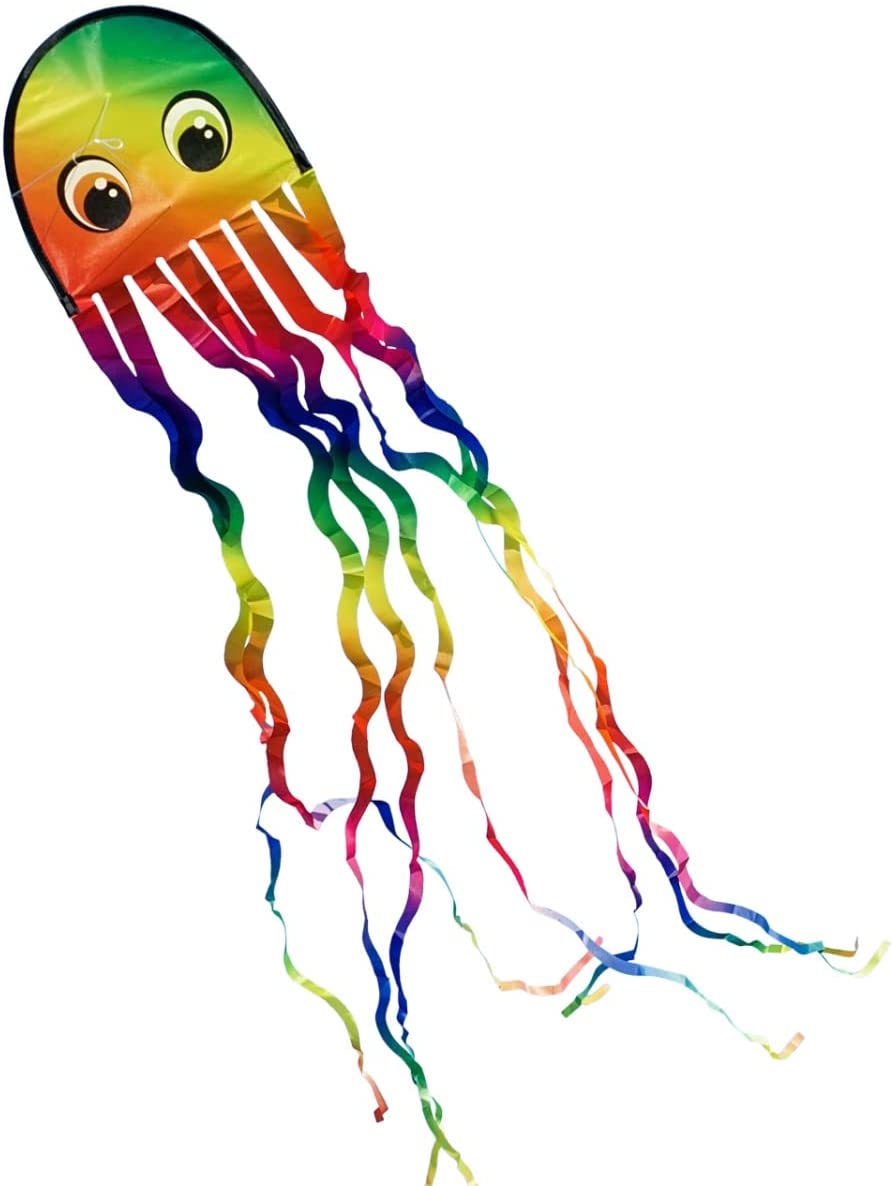 CiM Drachen Draki Rainbow