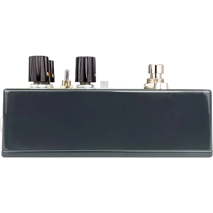 EarthQuaker Devices Ledges Reverberation Machine, Tri-Dimensional Reverb Effektpedal mit 3 Modi, 6 Presets und Flexi-Switch-Technologie – Bild 5