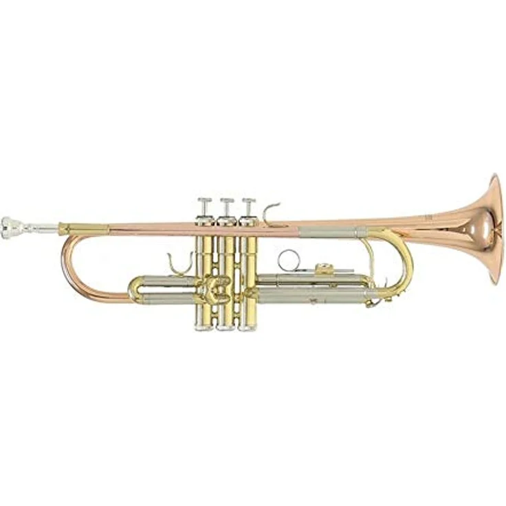 Roy Benson Bb Trompete MOD.TR-202G, goldmessing lackiert, ML Bohrung, Edelstahlventile, inkl. Etui mit Rucksackgarnitur – Bild 1